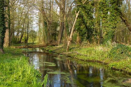 German countryside landscape, Fleuth river in Issum, Lower Rhine Region, Germany