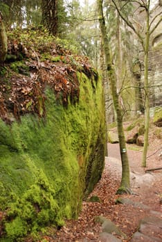Vertical shot of large mossy green rocks in Bohemian Paradise in the Czech Republic