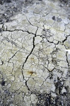 Detail of drought and climate change, destruction of the environment