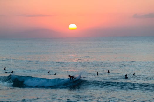 Surfing surfers in ocean wave waters early dawn sunrise on the horizon.