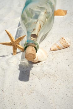 Bottle mail and mussels lie on the sandy beach