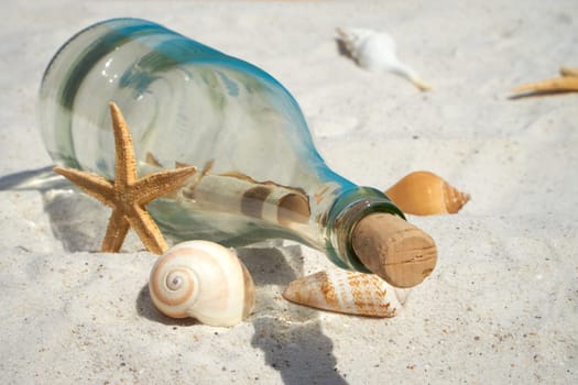 Bottle mail and mussels lie on the sandy beach