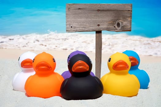 Six colorful rubber ducks and a wooden sign on the beach