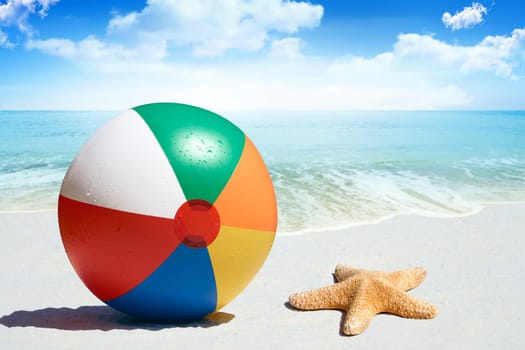 Colorful water polo and starfish on the beach