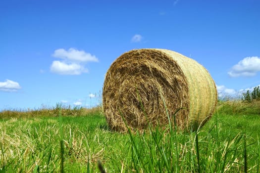 Straw bales under blue sky