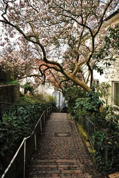 Blankeneser stairs district in Hamburg on the Elbe
