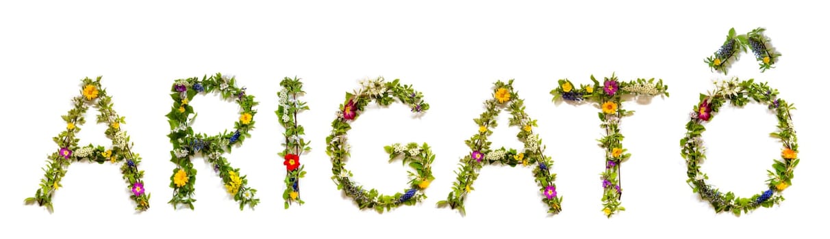 Colorful Flowers Building the Japanese Word Arigato, Means Thank You in English, Some Green And Some Spring Flowers on Isolated White Background, Symbolic Meaning, Quote