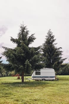 Caravan left among the pine trees on campsite. Copy space top and bottom