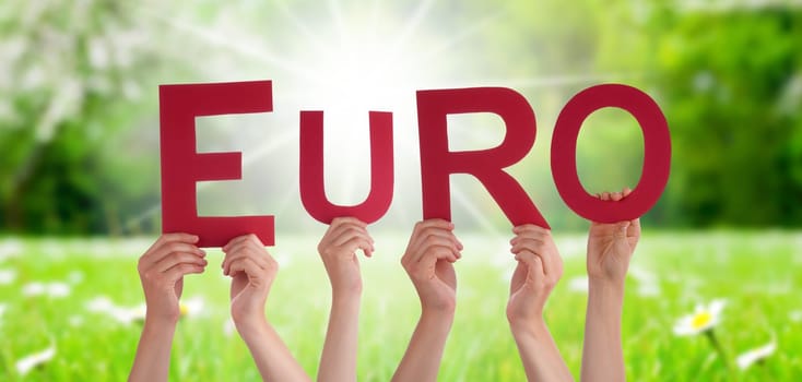 People Or Persons Hands Building English Word Euro. Sunny Green Grass Meadow As Background.