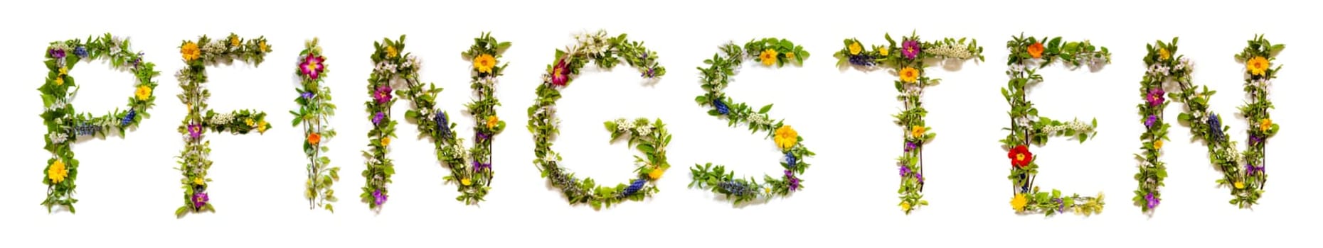 Blooming Flower Letters Building German Word Pfingsten Means Pentecost. Colorful Spring and Summer Blossoms. White Isolated Background.