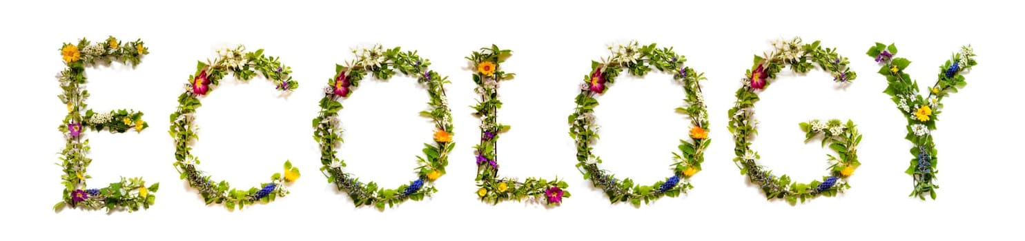 Colorful Flowers Building English Text Relax, Some Green And Some Spring Flowers on Isolated White Background, Symbolic Meaning, Quote
