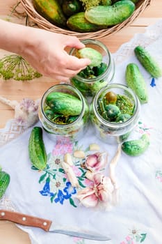 Pickling the cucumbers with home garden vegetables and herbs, fresh vegetables picked straight from field, collected on wooden table outdoors. View from above