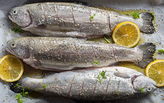 Fresh rainbow trouts with salt, lemon and herbs ingredients. Tasty fishes preparing for dish lunch.