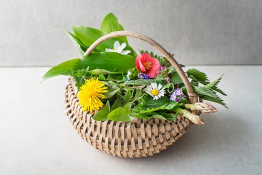 Wild garlic, nettle, dandelion and other medicinal herbs and wild edible plants growing in early spring. Spring basket background with flowers herbs and plants