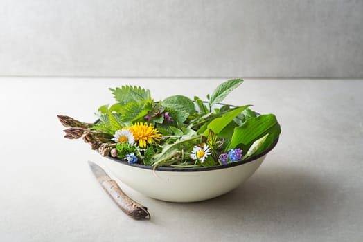 Wild garlic, nettle, dandelion and other medicinal herbs and wild edible plants growing in early spring. Spring background with flowers, herbs and plants