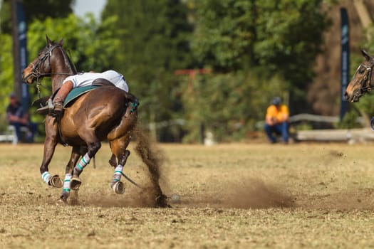 Player riders action play at world cup polo-cross championship games at Shongweni equestrain fields outside Durban.
