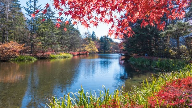 Autumn color of pond, Karuizawa, Nagano, Japan