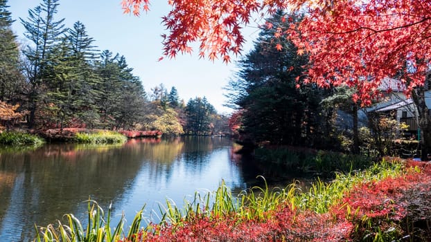 Autumn color of pond, Karuizawa, Nagano, Japan