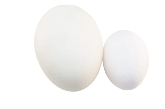 Two eggs in different sizes - chicken egg and goose egg against a white background..