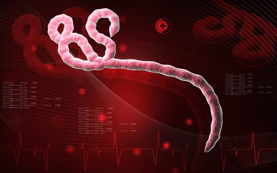 Digital illustration of Ebola virus in colour background