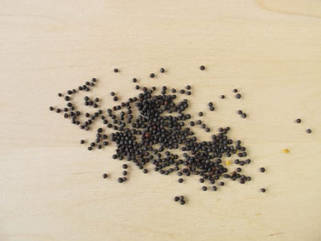 Rapeseed seeds