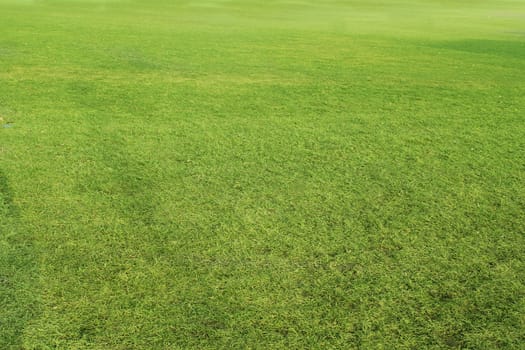soccer field