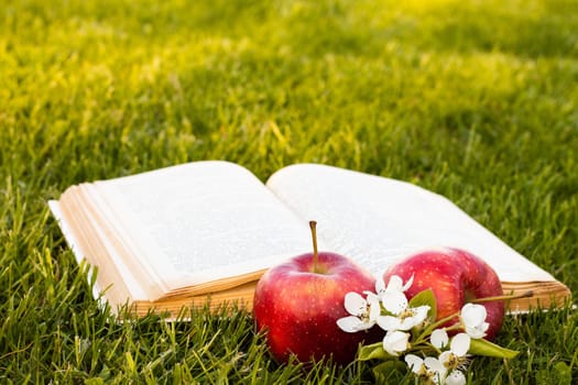 Open book on green grass with fresh red apples and a pear flowers