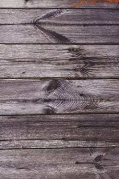 Background texture. Aged gray plank surface with nails, copy space. Vertical