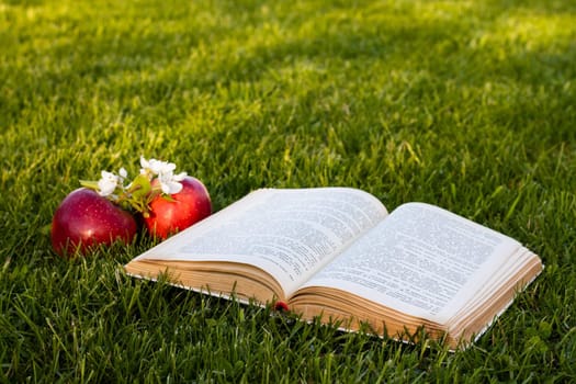 Open book on green grass with fresh red apples and a pear flowers