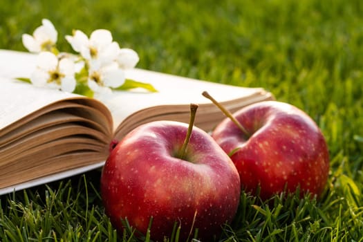 Open book on green grass with fresh red apples and a pear flower.