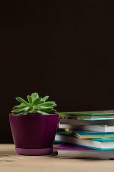 Stack of books on a table and a ceramic pot with a succulent plant. Copyspace. Home schooling and reading enjoyment concept.