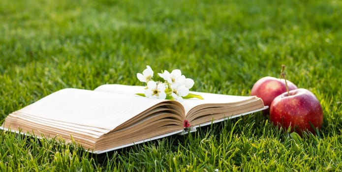 Open book on green grass with fresh red apples and a pear flower.