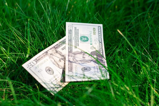 Two 20 US dollar bills lie on a background of green grass. Money, lying on the ground.
