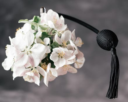 Bottle of eau de toilette or perfume made from apple blossom with long black tassel spray pomp soars in air on dark gray background