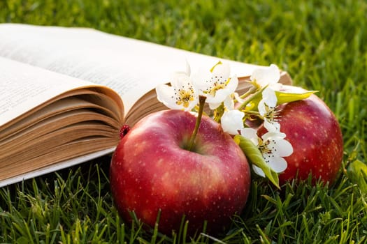 Open book on green grass with fresh red apples and a pear flower.