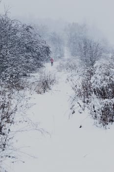 Young man jogging through meadow pathway during heavy snowing. Workout outdoors while winter snow storm