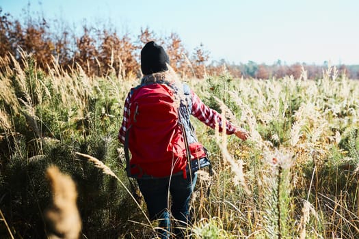Rear view of young woman hiking on summer sunny day. Woman with backpack hiking through tall grass along path in mountains. Spending summer vacation close to nature