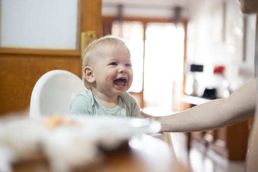 Adorable cheerful happy infant baby boy child smiling while sitting in high chair at the dining table in kitchen at home beeing spoon fed by his mother.