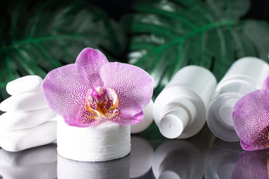 Beautiful lilac orchid flower, white cosmetic bottles, cotton pads with stack of white stones and monstera leaves on black surface. SPA or beauty salon and procedures concept