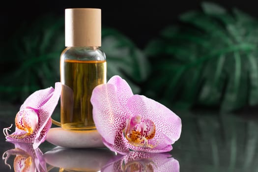 Beautiful lilac orchid flower and clear glass bottle of yellow oil or perfume standing on white stone with monstera leaves on black reflective surface