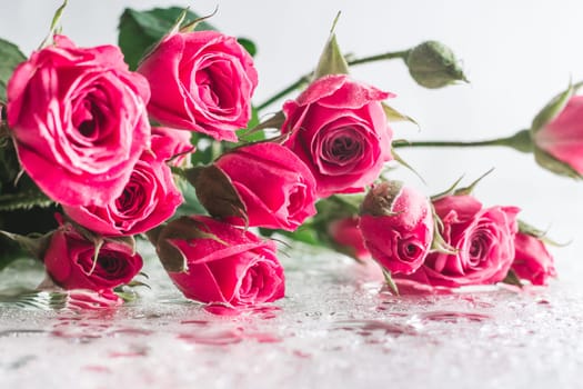 Blurred creative background of pink rose flowers. Partially defocused roses on glossy surface with water drops