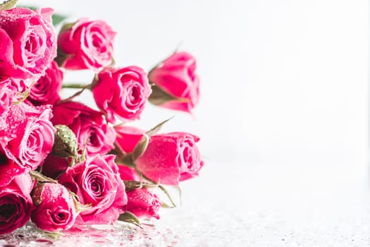 Blurred creative background of pink rose flowers. Partially defocused roses on glossy surface with water drops. Copy space