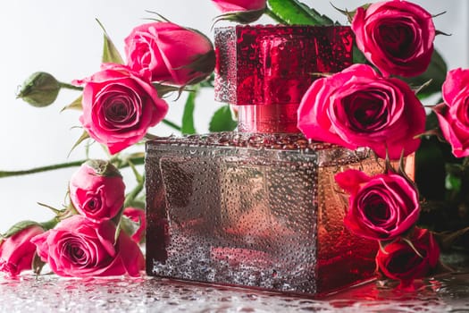 Burgundy square perfume bottle on glossy surface with delicate pink roses and water drops. Eau de Toilette.