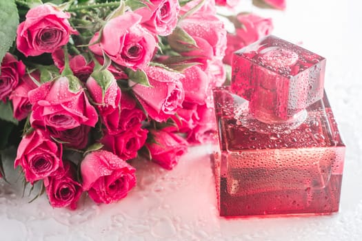 Burgundy square perfume bottle on glossy surface with delicate pink roses and water drops. Eau de Toilette.