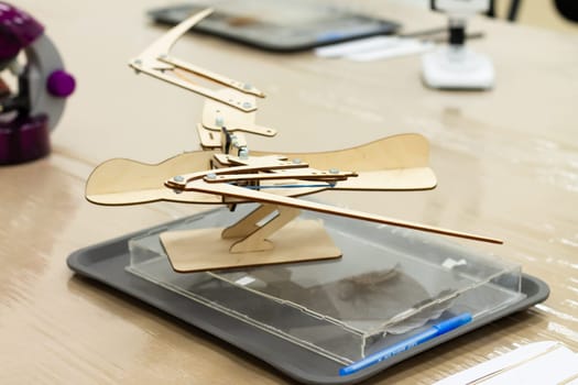 Movable wooden mock-up of a bird skeleton standing on the table at a children's science event