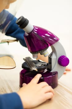 Boy looking through a purple microscope at a bird feather, at a children's science event