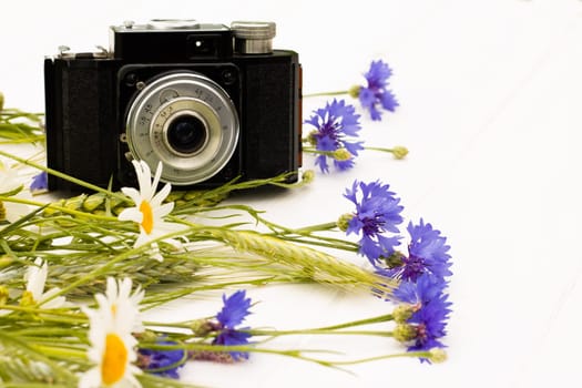 Retro vintage old camera with cornflowers and daisies on a white wooden background. Copy space