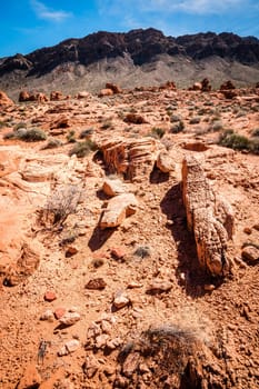 Desert landscape in Valley of Fire State Park in Nevada