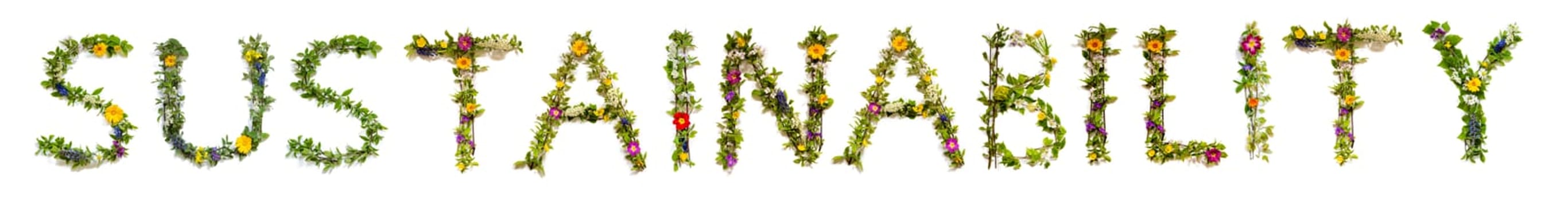 Colorful Flowers Building English Text Sustainability, Some Green And Some Spring Flowers on Isolated White Background, Symbolic Meaning, Quote