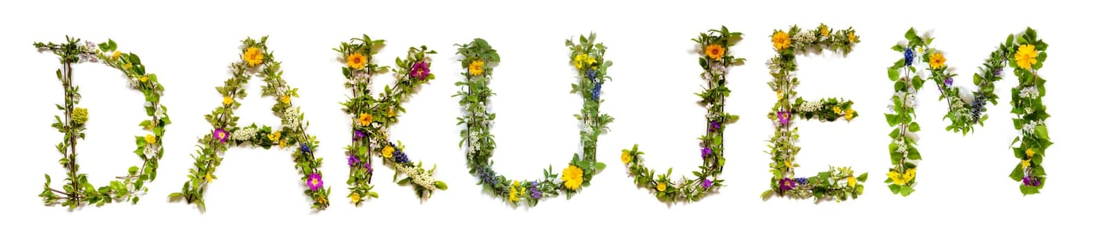Colorful Flowers Building Slovakian Text Dakujem, Means Thank You in English, Some Green And Some Spring Flowers on Isolated White Background, Symbolic Meaning, Quote